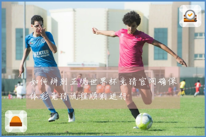 如何辨别正规世界杯竞猜官网确保体彩竞猜流程顺利进行